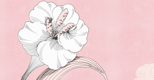 Tumblr Ojhyds562f1uh4s63o1 500 by ushirin Tumblr Ojhyds562f1uh4s63o1 500 by ushirin