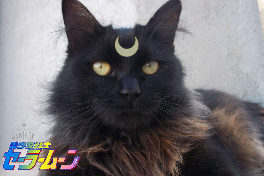+-Moon Prism Power, Makeup!-+ by ushirin