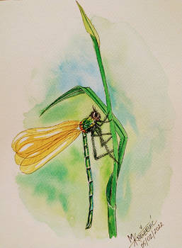 Dragonfly