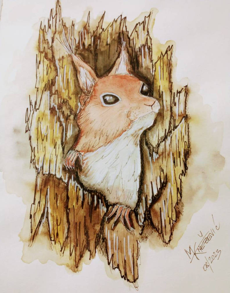 Deviantart Risumon Squirrel Squirrel by zerassse on DeviantArt
