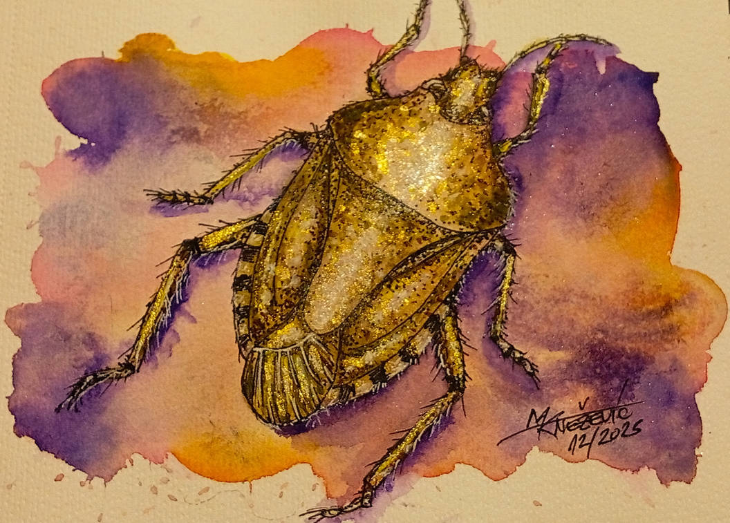 Stink Bug by zerassse on DeviantArt