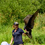 Raptor Center 89