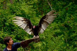 Raptor Center 121