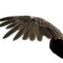 Raptor Center 98 Cutout