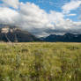 Alpine Meadow 7