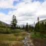 Banff National Park 18