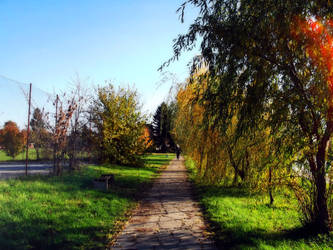 Autumn in my village