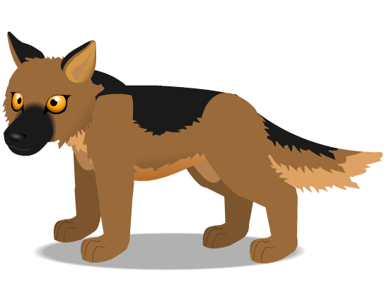 german shepherd A