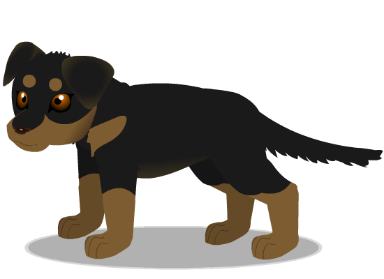 rottweiler b