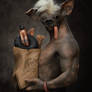 The Dog Man