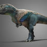 Male Tyrannosaurus