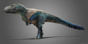 Male Tyrannosaurus