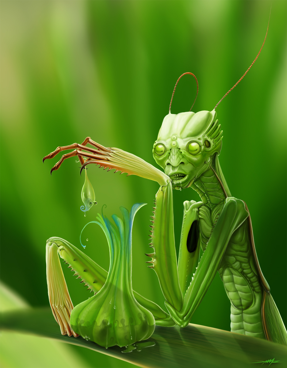 MANtis meal