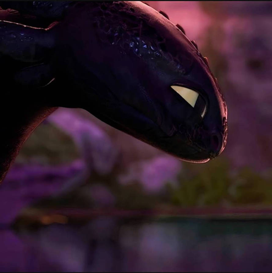 Toothless Vagrant Toothless 2 by spider1m on DeviantArt