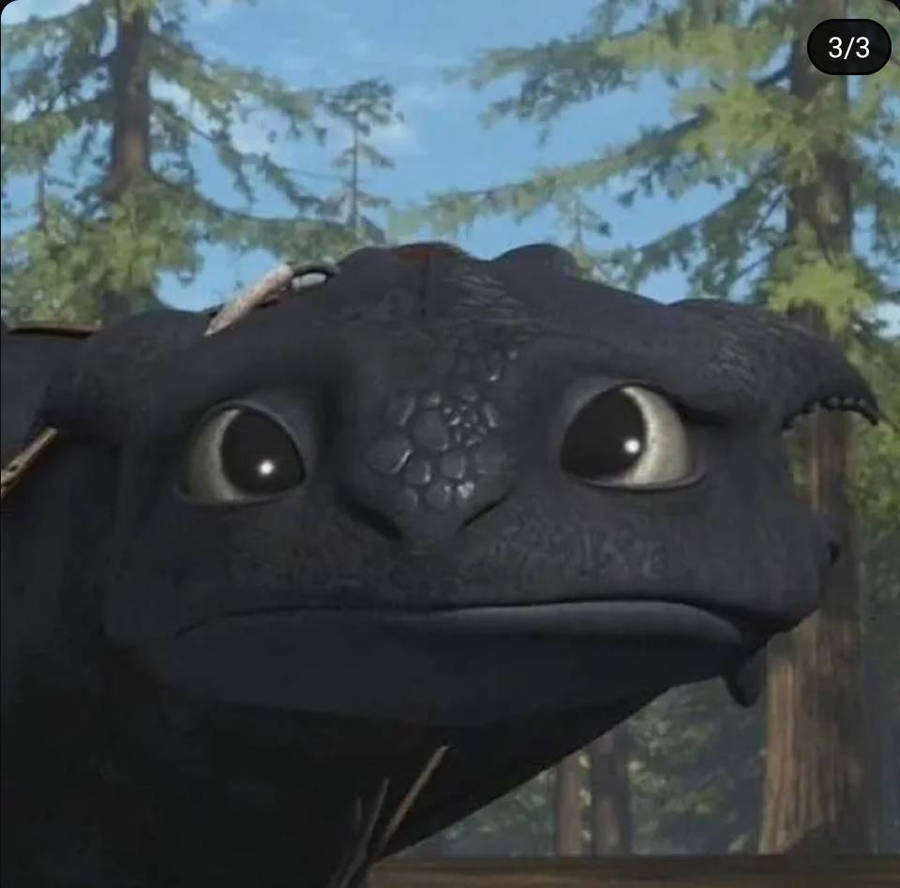 Toothless is sad by spider1m on DeviantArt