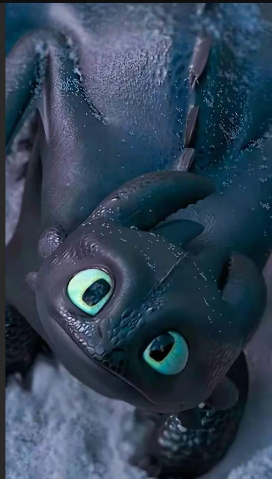 Toothless 13 by spider1m on DeviantArt