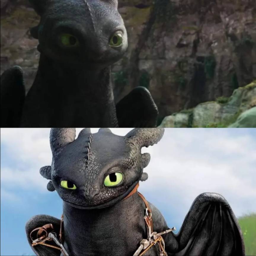 Live action Toothless 2 by spider1m on DeviantArt