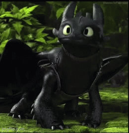 Toothless Transition Toothless GIF 47 by Spider1m on DeviantArt