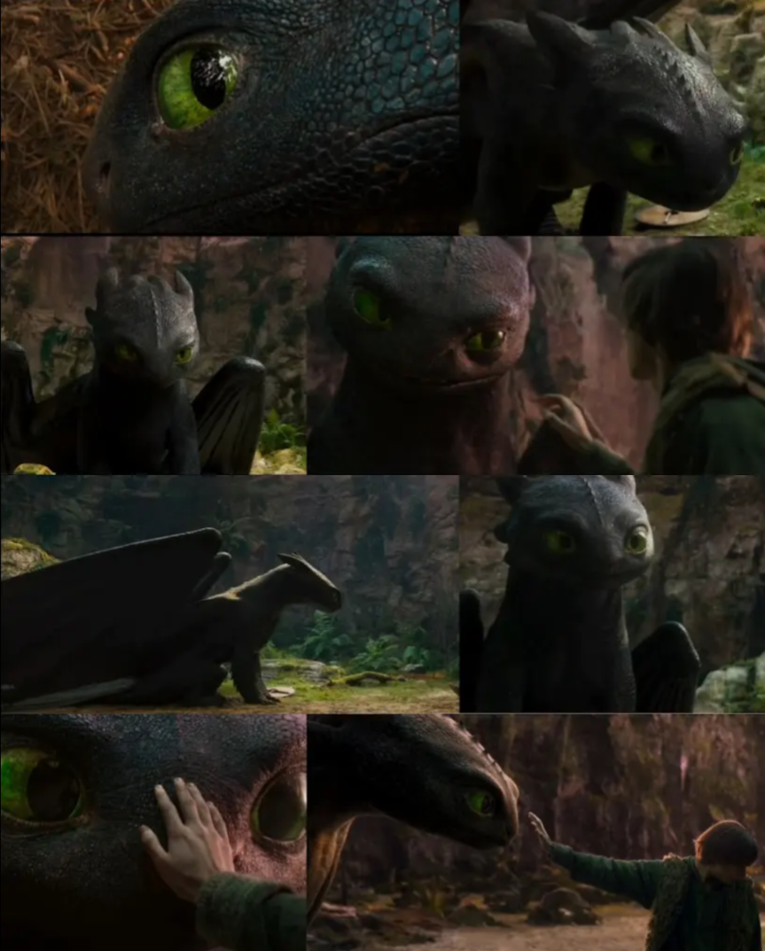Toothless Dave Live action Toothless 5 by Spider1m on DeviantArt