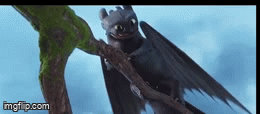 Toothless Transition Toothless GIF 50 by Spider1m on DeviantArt