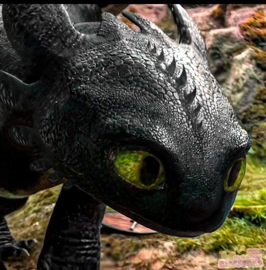 Live action Toothless 9 by Spider1m on DeviantArt