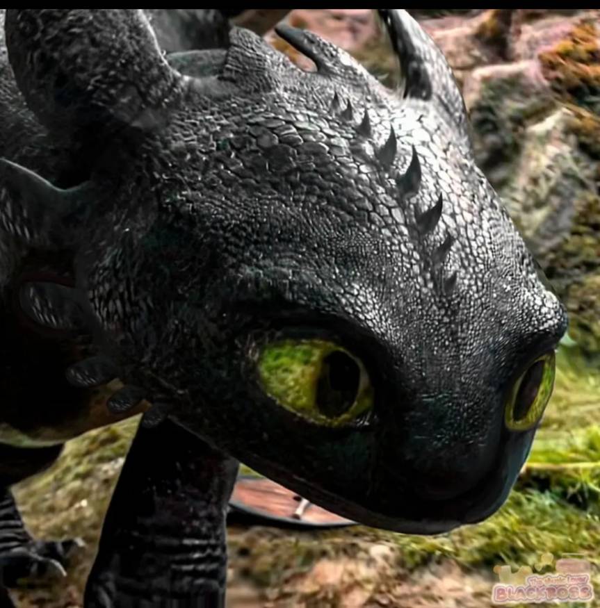 Live action Toothless 9 by Spider1m on DeviantArt
