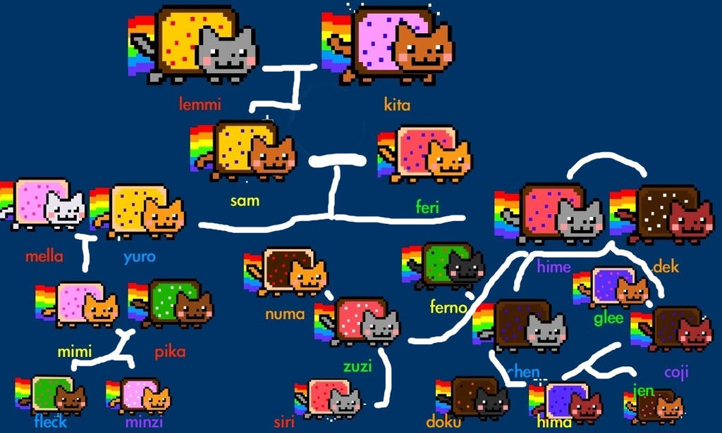 Карту кэт игра. Нян Кэт. Nyan Cat игра. Нян Кэт и друзья. Нян Кэт и Кэт нян.