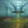 Mushroom Kingdom