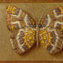 Symbol-Butterfly 11