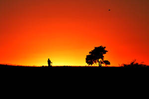 The Savanna in Sweden