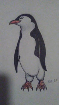 Penguin