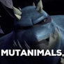TMNT: Mutanimals HO!!! Gif