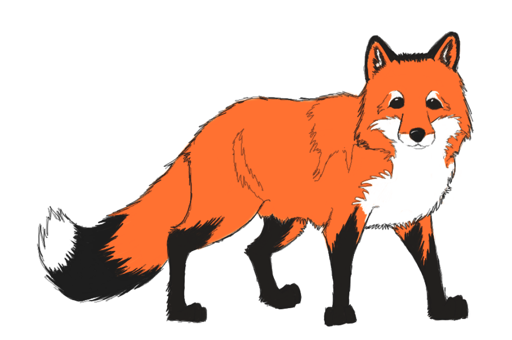 Fox