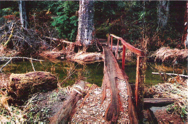 Rustic Pathway