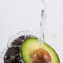 Splashing Avocado