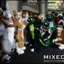 Mixedcandy FWA Photoshoot 2013