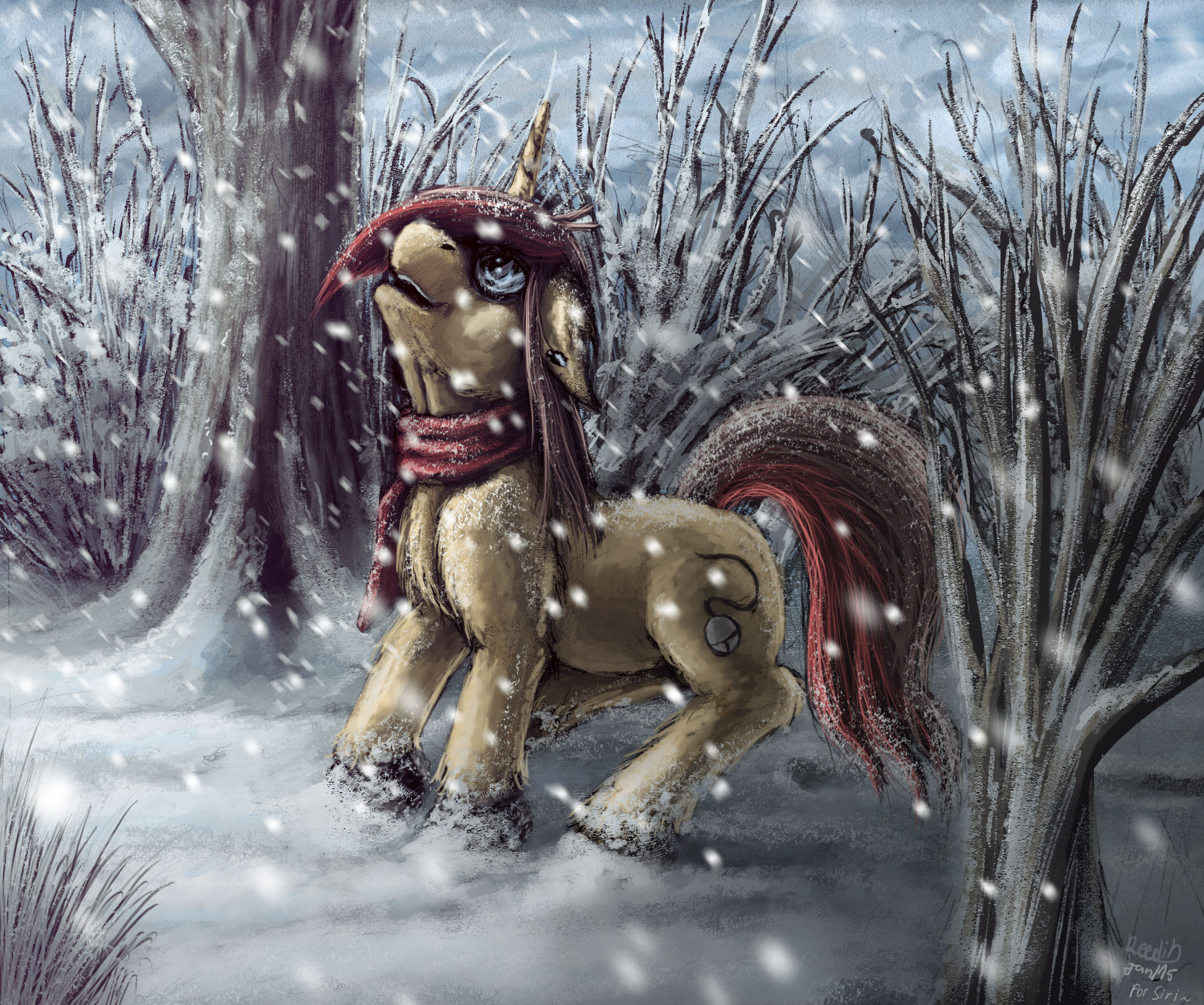 First Snow