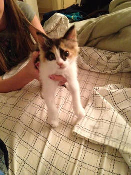 My baby Lilly!