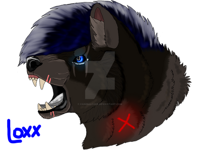 Loxx