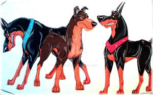 REAL Dobermans