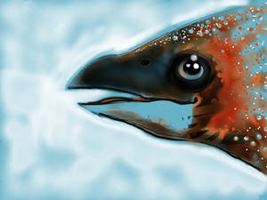 The bird-fish of the infinite seas.