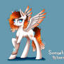 MLP - Sunset Bloom /MY OC/