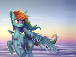 MLP - Rainbow Dash