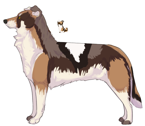 Border Collie Auction [comes with icon]