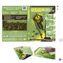 2006 Games Convention: DVD