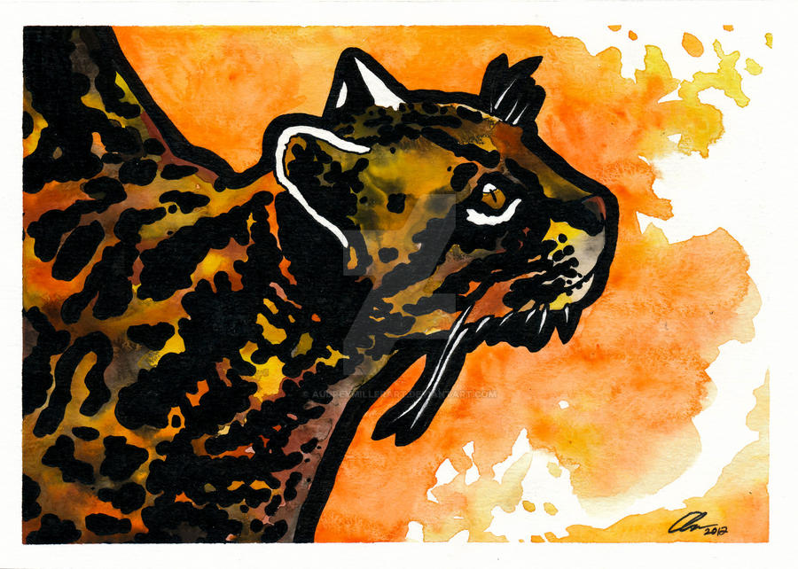 Abstract Ocelot Ocelot by AudreyMillerArt on DeviantArt
