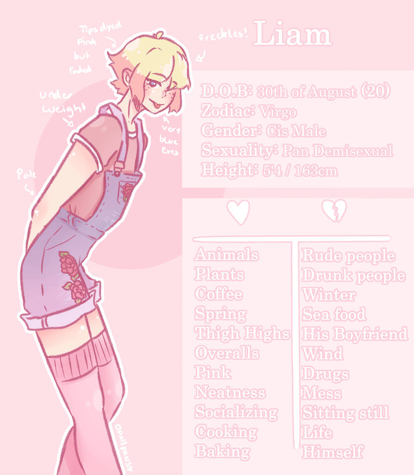 Liam Character Sheet by opalpansy on DeviantArt