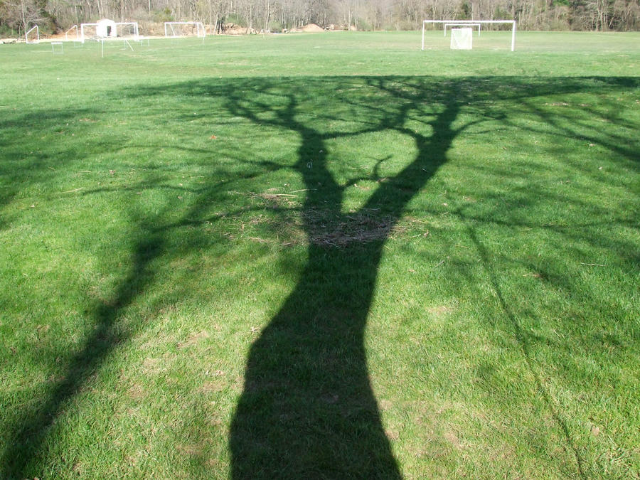 Just a tree's shadow...