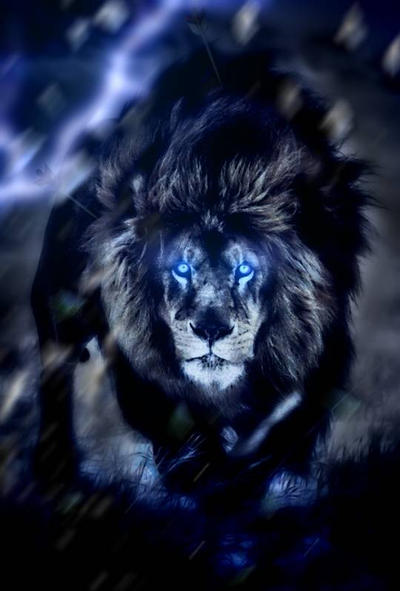 Lion King Of Beasts By Countis On Deviantart Lion King Of Beasts By Countis On Deviantart