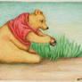 Winnie The Pooh